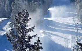 Woodside Woodside Apartments Kopaonik Free Parking & Spa , Free Ski Locker