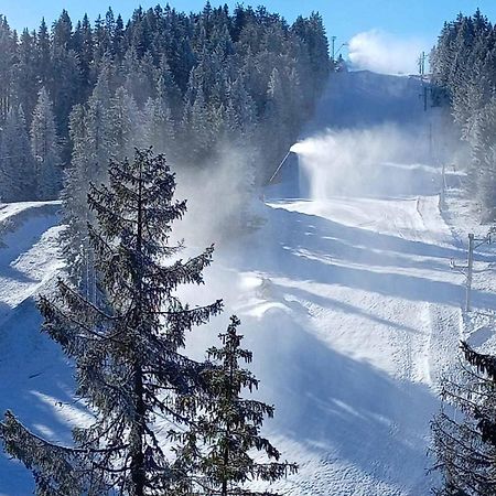 Woodside Woodside Apartments Kopaonik Free Parking & Spa , Free Ski Locker Экстерьер фото